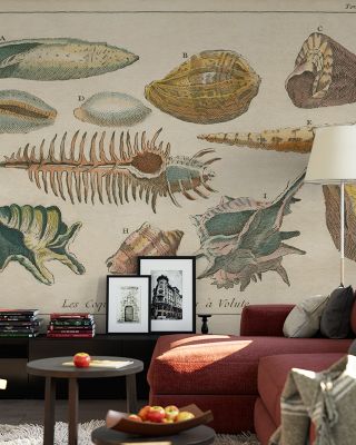 Shell Etchings II Abstract Wallpaper