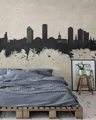 Tallahassee Florida Skyline Concrete Wallpaper