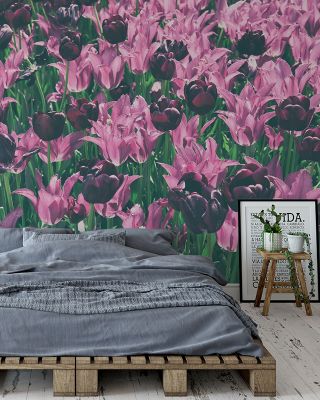 Tulip Reach Scenic Wallpaper