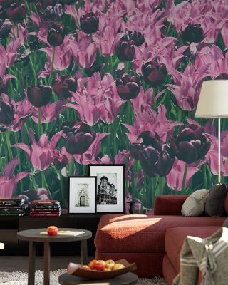 Tulip Reach Scenic Wallpaper