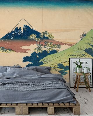 Views of Mt Fuji Scenic Wallpaper