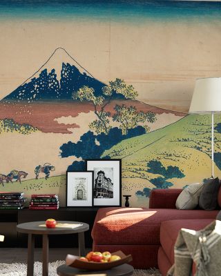 Views of Mt Fuji Scenic Wallpaper