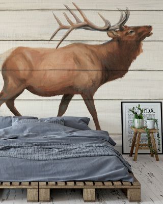 Woody Antlers Abstract Wallpaper