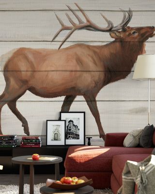 Woody Antlers Abstract Wallpaper