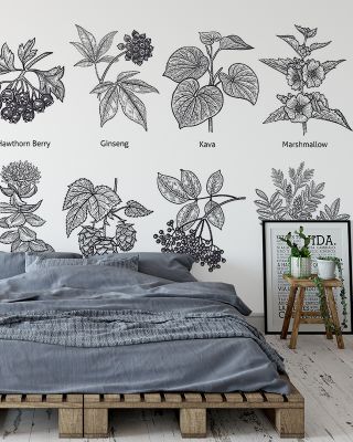 Map of Berries Botanical Art Wallpaper
