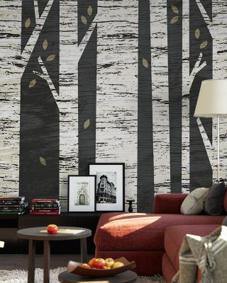 Birch Forest Scenic Wallpaper