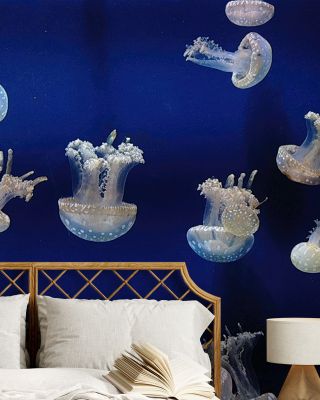 Jellyfish Abstract Wallpaper