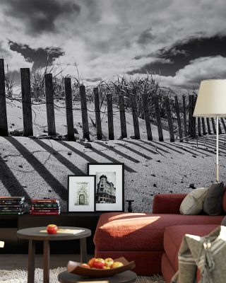 Nantucket Shadows Scenic Wallpaper