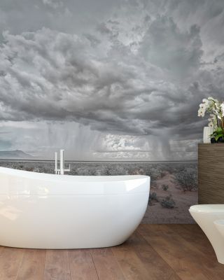 New Mexico Rain Scenic Wallpaper