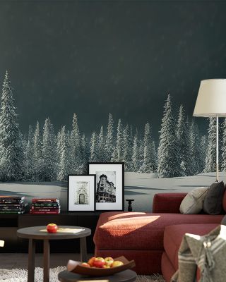 New Snow Scenic Wallpaper