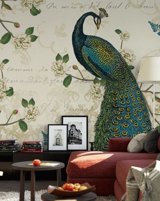 Peacock Arbor II Scenic Wallpaper