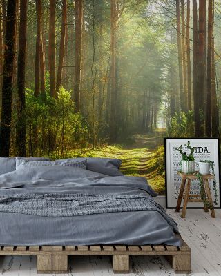 Silent Forest Road Scenic Wallpaper