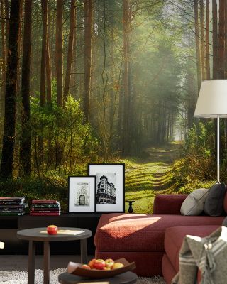 Silent Forest Road Scenic Wallpaper