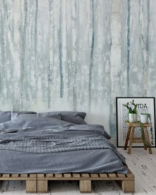 Birches in Winter Blue Gray Serene Woodland Wallpaper