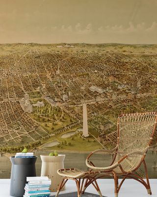Washington Views Map Wallpaper