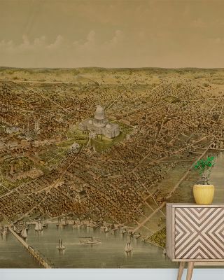 Washington Views Map Wallpaper