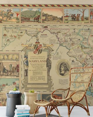 State of Maryland Map Wallpaper