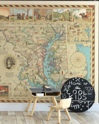 State of Maryland Map Wallpaper