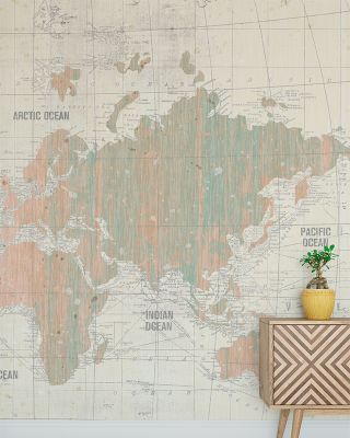 Old World Map Blush and Mint Wallpaper