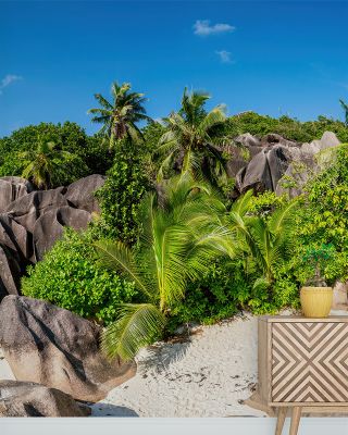 Anse Source d'Argent Scenic Wallpaper