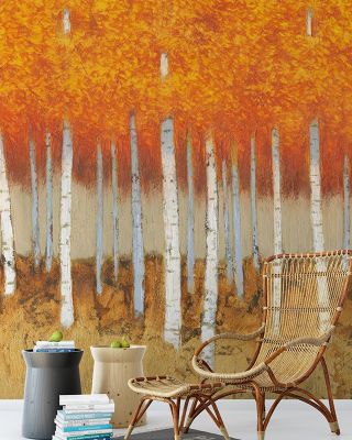 Autumn Birches Scenic Wallpaper