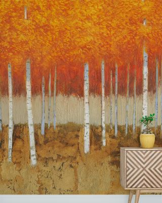 Autumn Birches Scenic Wallpaper