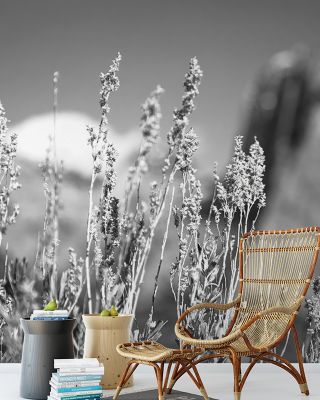 Canyon Sagebrush Nature Wallpaper - Tranquil Plant Design