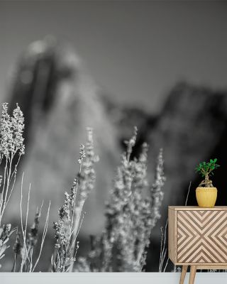 Canyon Sagebrush Nature Wallpaper - Tranquil Plant Design