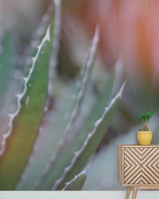 Mystical Dream Desert III Scenic Wallpaper