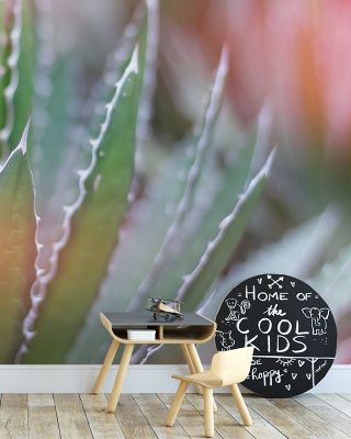 Mystical Dream Desert III Scenic Wallpaper