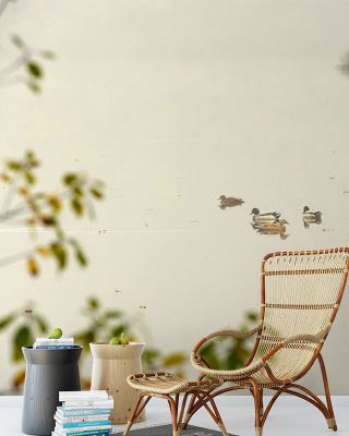 Serene Ducks Resting Scenic Wallpaper