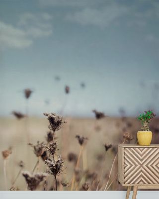 Falling Queen Annes Lace I Floral Wallpaper