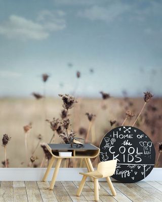 Falling Queen Annes Lace I Floral Wallpaper