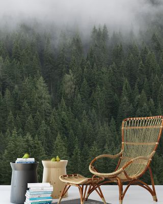 Foggy Treetops Scenic Wallpaper