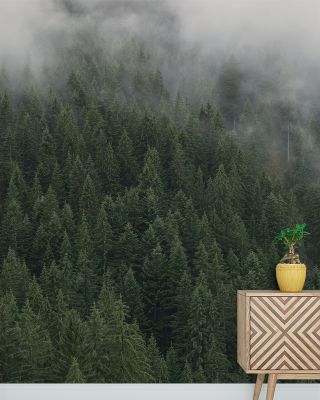 Foggy Treetops Scenic Wallpaper