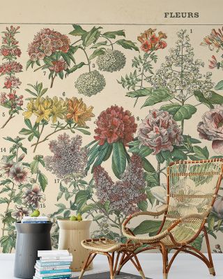 French Flower Chart Wallpaper