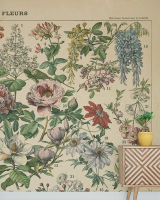 French Flower Chart Wallpaper