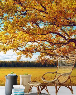 Golden Fall Tree Scenic Wallpaper