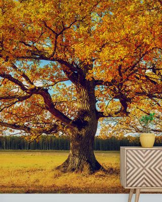 Golden Fall Tree Scenic Wallpaper