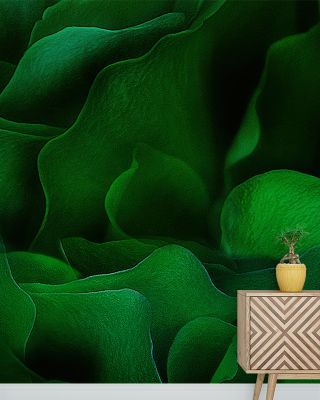Green Cradle Botanical Wallpaper