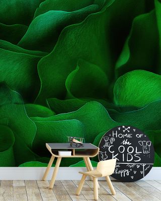 Green Cradle Botanical Wallpaper