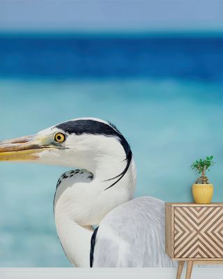 Grey Heron Scenic Wallpaper