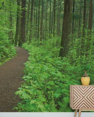 Let's Go Hiking Scenic Wallpaper