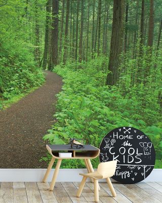 Let's Go Hiking Scenic Wallpaper