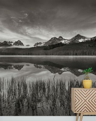 Little Redfish Mirror Scenic Wallpaper