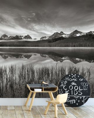 Little Redfish Mirror Scenic Wallpaper