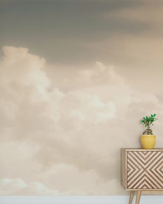 Lone Bird Nature Wallpaper