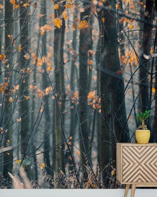 Magic Forest Buzz Abstract Wallpaper