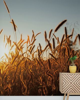 Morning Grain Scenic Wallpaper