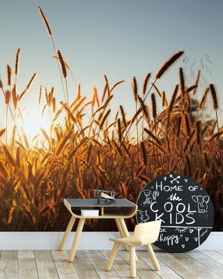 Morning Grain Scenic Wallpaper